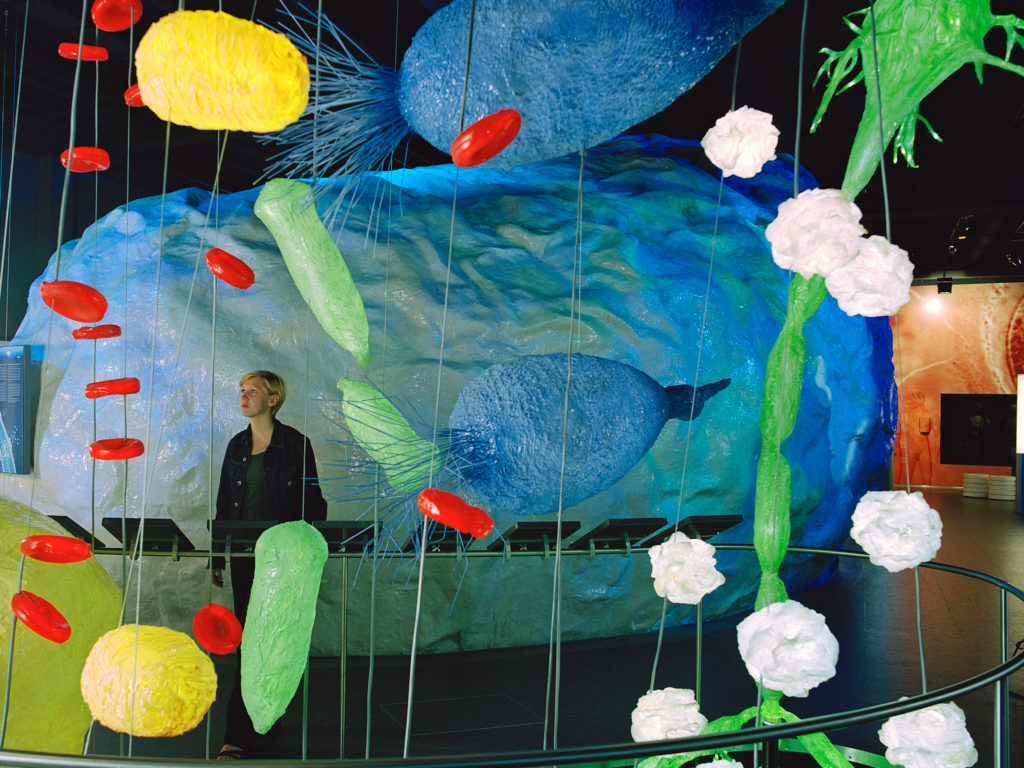 Installation aus Nachbildungen der Zellorganellen in unterschiedlichen Formen und Farben