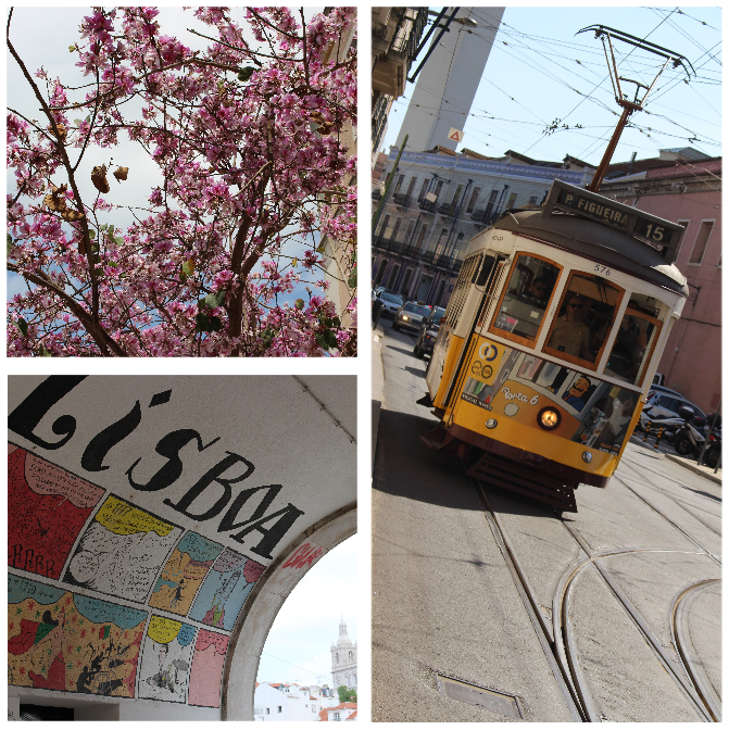 Collage mit Straßenbahn, Torbogen und blühendem Baum